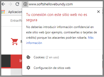 paginas falsas url sospechosa navegador